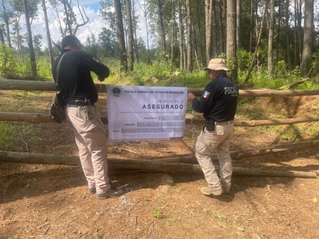 Durante cateo, asegura FGE predio relacionado en delitos contra el ambiente en  Pátzcuaro 