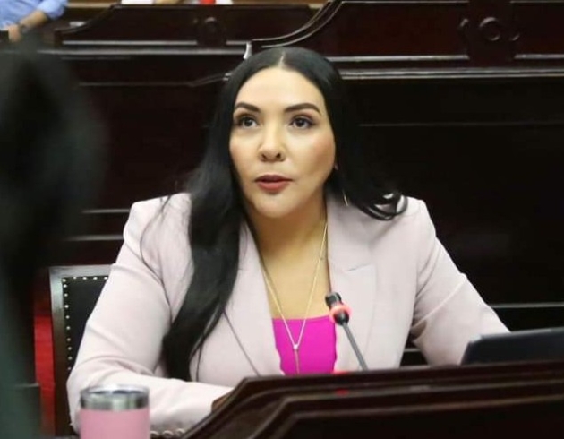 Congreso no puede ser omisos sobre lo que ocurre en Michoacán en materia de inseguridad: Adriana Campos H.