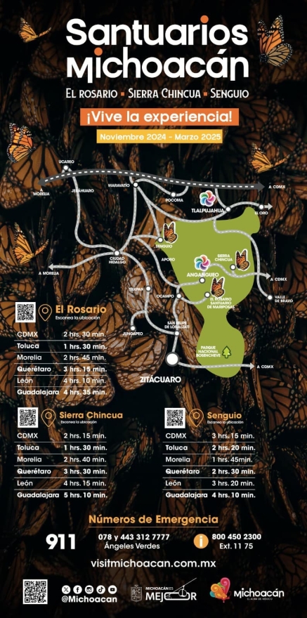 Conoce las rutas para llegar a los Santuarios de la Monarca 