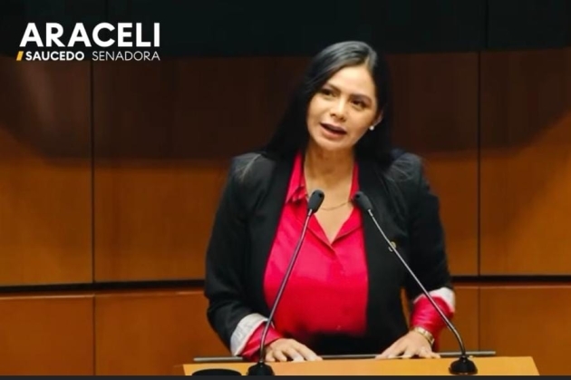 Desde el Senado aportamos a fortalecer la seguridad en el país: Araceli Saucedo Reyes 