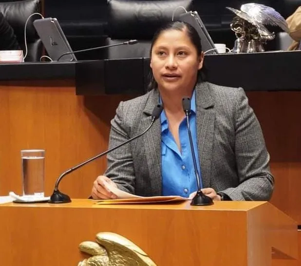 Participación de México en el G20, histórica: Celeste Ascencio 