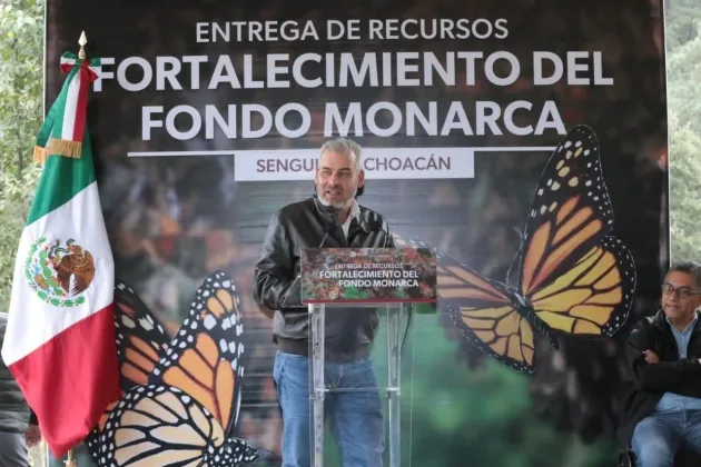 Michoacán celebra que EUA asuma responsabilidad del cuidado de la Monarca: Ramírez Bedolla 