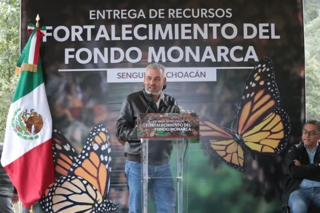Con Fondo Monarca aumentó pago de servicios ambientales para cuidar la mariposa: Ramírez Bedolla 