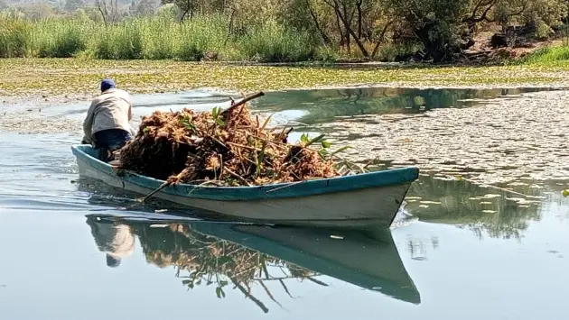 Avanza rescate de La Mintzita; extraídos más de mil metros cúbicos de maleza: Secma 
