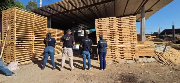 La Fiscalía General catea aserradero en Ocampo por su posible relación en delitos contra el ambiente 