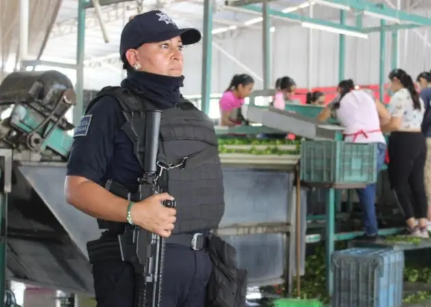 Garantizado el abasto de limón michoacano a todo el país: Torres Piña 