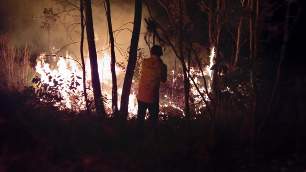 Brigadas ya se encuentran en combate de incendio en Tuxpan: Cofom 