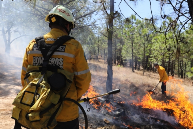 Brigadas forestales liquidan 8 incendios en Michoacán: Cofom 