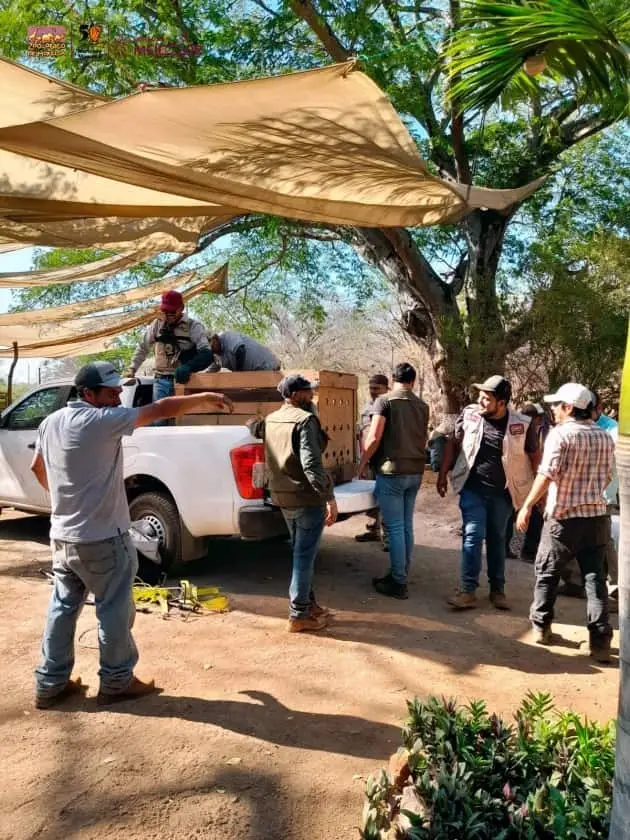 Resguarda Zoológico de Morelia ejemplares decomisados en Huetamo 