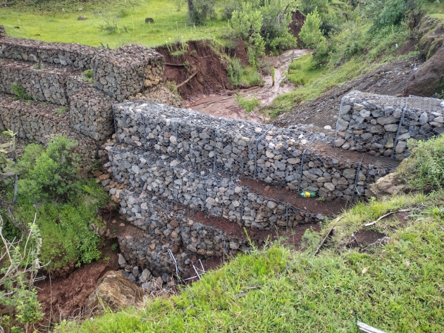 Agrosano refuerza conservación del lago de Pátzcuaro y sus manantiales: Sader 