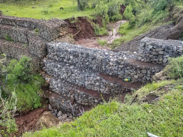 Agrosano refuerza conservación del lago de Pátzcuaro y sus manantiales: Sader 