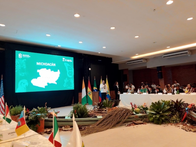 Por Guardián Forestal, Michoacán se integra a grupo internacional contra cambio climático 