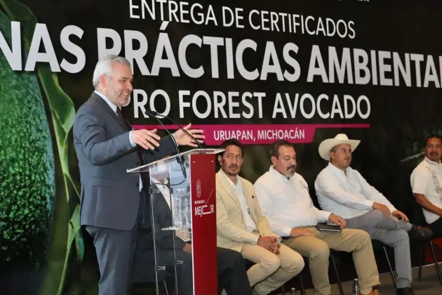 Certificado con Profesores Avocado, el 67 % del aguacate exportado a EUA: Ramírez Bedolla 