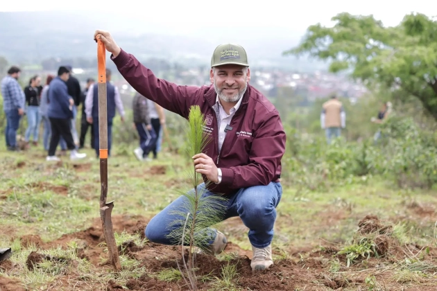 Michoacán impulsa reforestación histórica para recuperar el lago de Pátzcuaro: Ramírez  Bedolla 