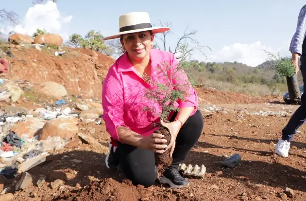 Gobierno de Quiroga plantó más de 500 árboles en el Día Mundial del Medio Ambiente 