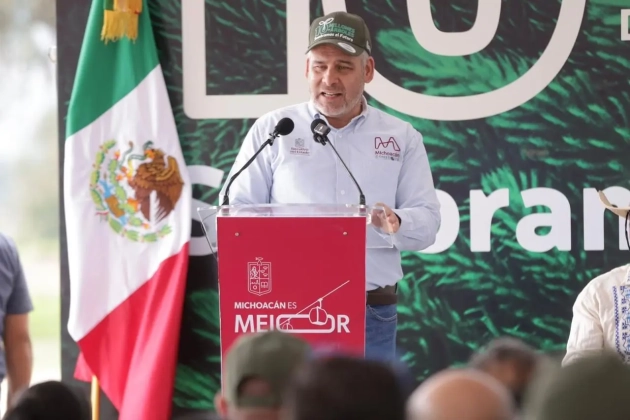 Por aire se lanzarán semillas para reforestar 50 mil has de bosques: Alfredo Ramírez  Bedolla 
