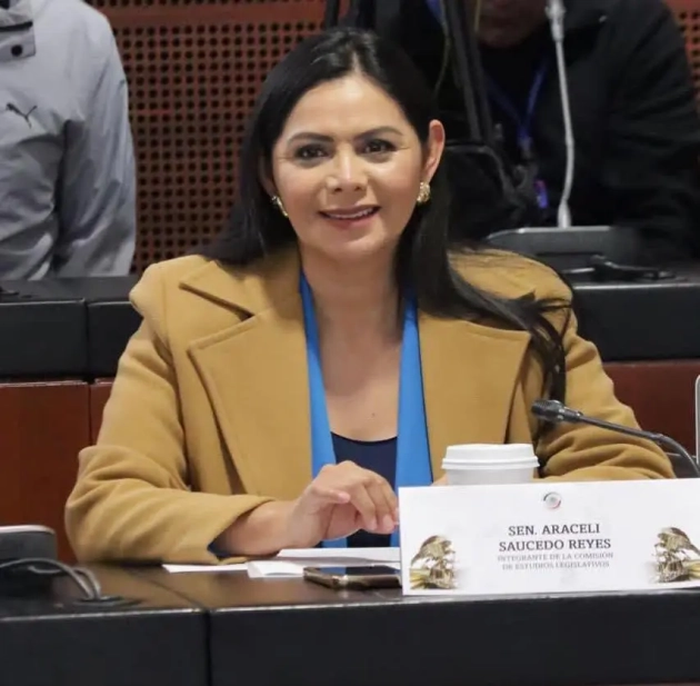 Avanza en comisiones reforma para fortalecer la búsqueda de personas desaparecidas: Senadora Araceli Saucedo