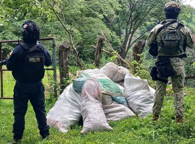 Localizados 16 costales de marihuana en Tuzantla: SSP 