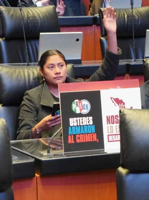 Senado aprueba reformas clave en materia de seguridad pública: Celeste Ascencio 