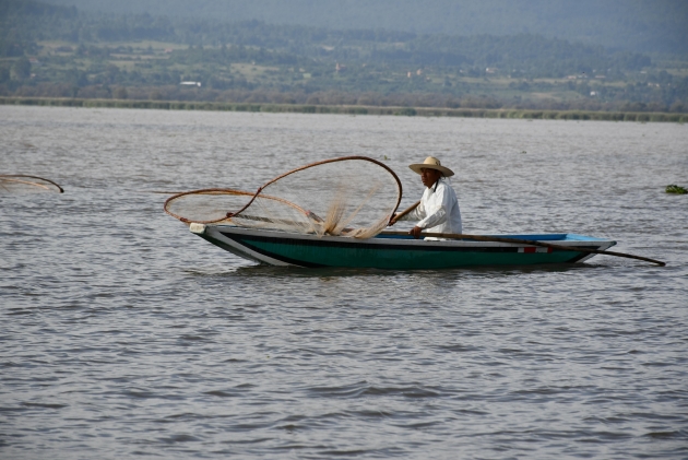Reman por la Paz en torneo de canotaje en la isla de Janitzio  Michoacán 