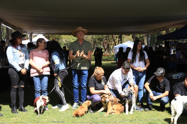 Huella Solidaria FGE; adopción, denuncia y corresponsabilidad social a favor del bienestar animal