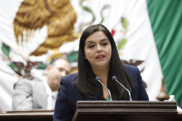 Propone la diputada Tere Herrera del PAN endurecer medidas contra deudores alimentarios  