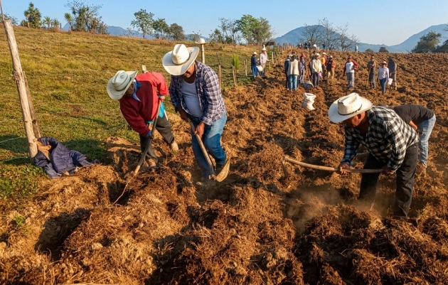 Inicia Sembrando Vida el ciclo agrícola con 427 mil Familias Campesinas 