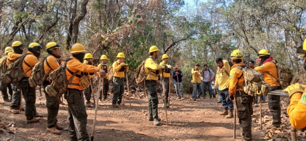 Michoacán logra reducir más del 44 % la superficie afectada por incendios forestales 