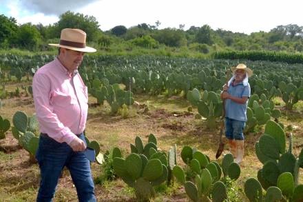 Urge revertir la escasez de agua  en el campo: Valentín Rodríguez