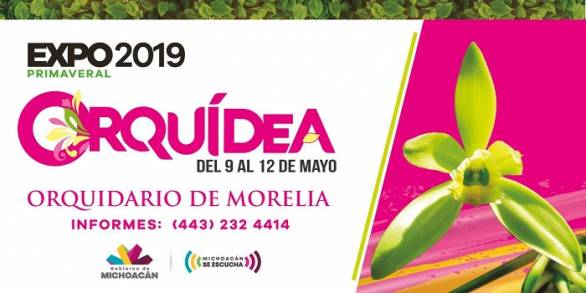 En Ceconexpo, Expo Orquídea 2019, del 9 al 12 de mayo