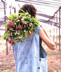 Moda Sostenible,  su importancia para ayudar a combatir la Crisis Climática que afrontamos. 