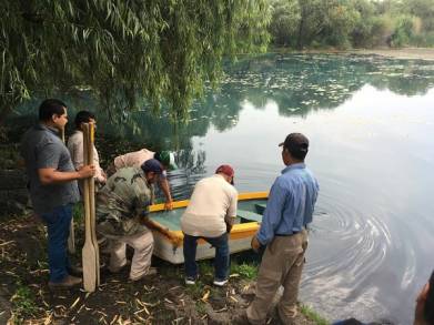 Concluye Semaccdet jornada de reforestación y limpieza del fondo del manantial La Mintzita