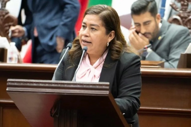 Propone la Dip.  Belinda Iturbide incorporación de figura del Amicus Curiae a Constitución de Michoacán 