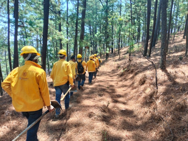 Controlado un 80 % incendio forestal en Hidalgo: Cofom 