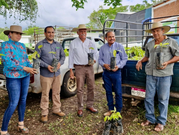 Sader apuesta a extender el cultivo de cacao en Michoacán 