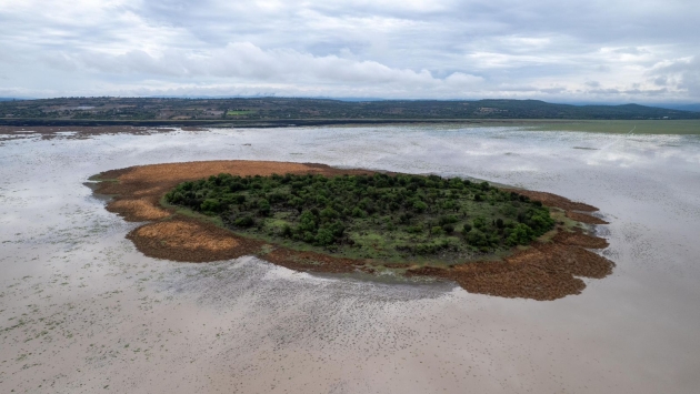 Para recuperar el lago de Cuitzeo se han invertido 200 mdp: ARB