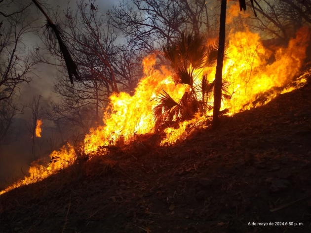 Brigadistas combaten incendios forestales en Morelia y La Huacana 