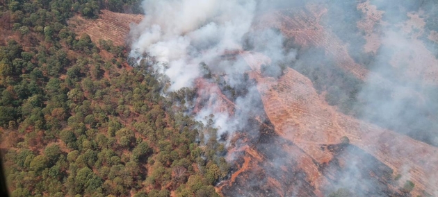 Se suma helicóptero con helibalde a combate de incendio forestal en Ario 