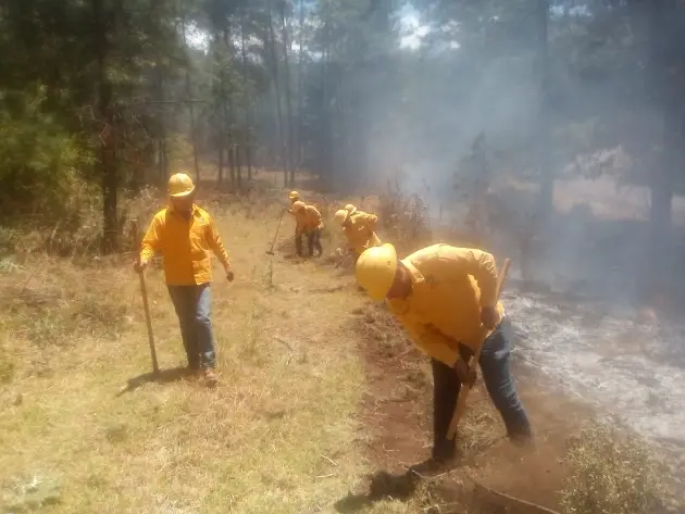 Brigadistas apagan incendio forestal en Madero y controlan 2 en Los Reyes y Ario 
