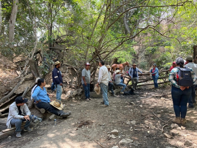 En La Huacana, agricultores y ganaderos realizan obras de conservación de suelos y agua 