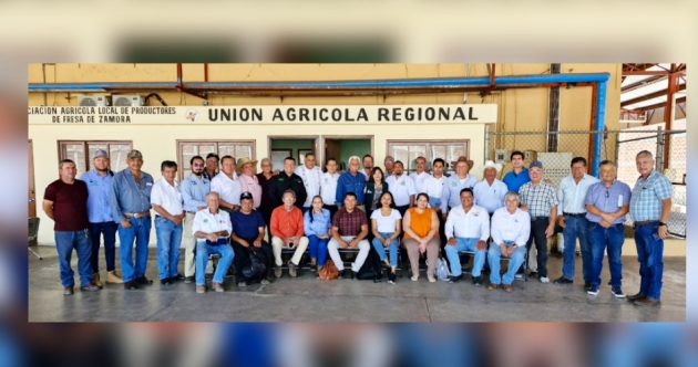 Presentan  éxito en el control de afecciones al cultivo de Fresa de Michoacán: 