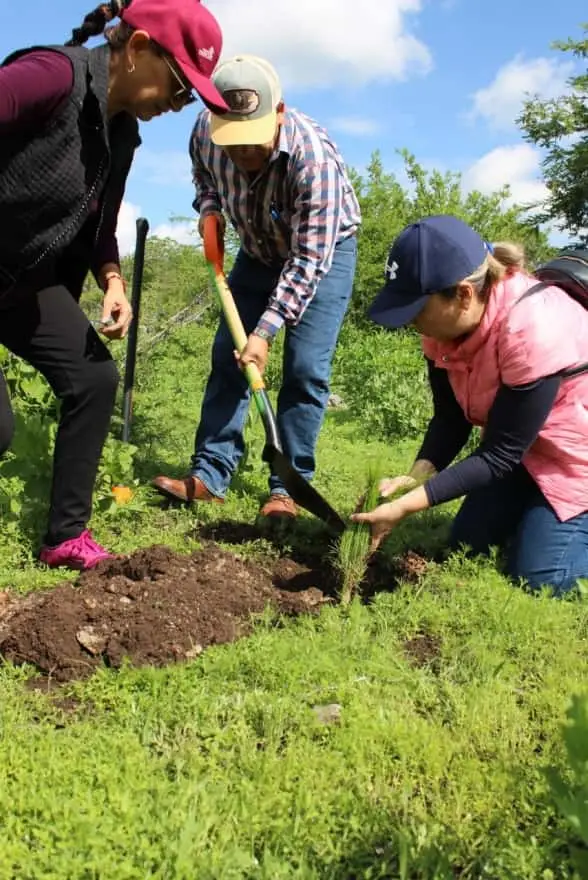 Arranca Gobierno estatal reforestación de Áreas Naturales Protegidas 