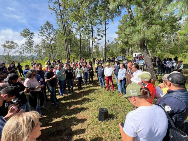 Reforestan cerro Blanco, área protegida para la conservación del lago de Pátzcuaro 