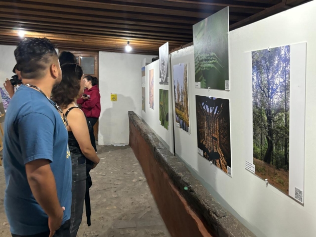 Premian las mejores imágenes del Concurso de Fotografía Científica 