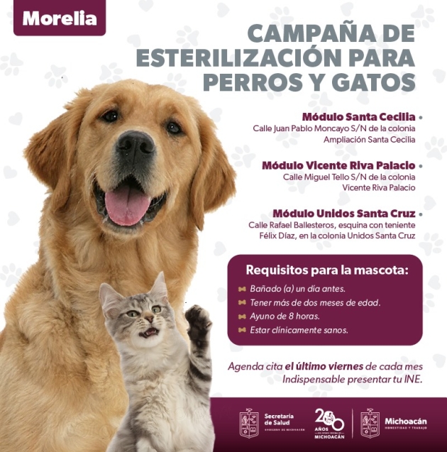 SSM ofrece sin costo esterilización canina y felina, en Morelia 