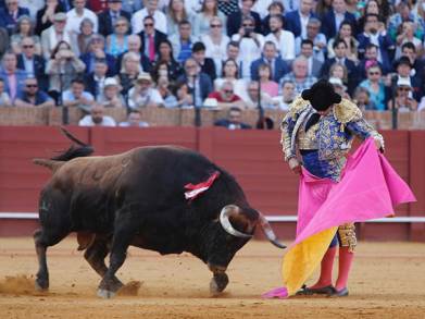 El Espectáculo de la Fiesta Taurina en Franca Caída al Aprobarse el Cierre de la Monumental Plaza de Toros de CDMX 