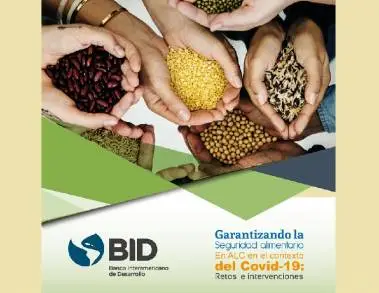 Se lleva a cabo el Seminario Virtual: Los negocios agroalimentarios después del Covid-19: Desafíos y oportunidades