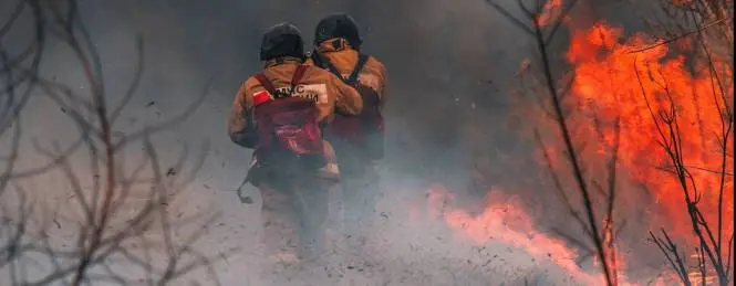 Cambio climático: tenemos que adaptar nuestros bosques frente a los incendios forestales: ONU