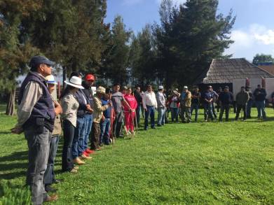 Reforestan comunidades en Tzintzuntzan: Semaccdet 